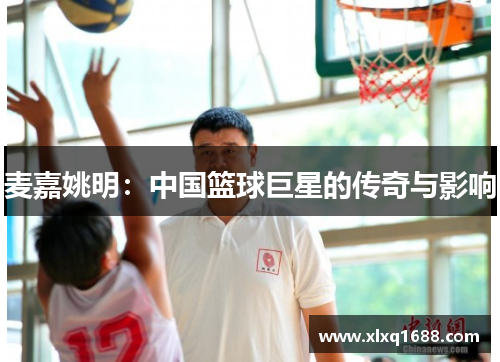 麦嘉姚明：中国篮球巨星的传奇与影响