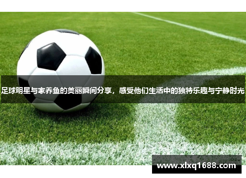 足球明星与家养鱼的美丽瞬间分享，感受他们生活中的独特乐趣与宁静时光